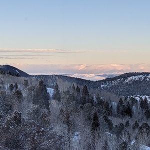 Meet your Posher, Suzi